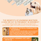 Manual de instrucciones de la tarjeta de prueba de embarazo temprano para perros y gatos proveedor