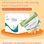 Tarjeta de prueba rápida de antígeno del subtipo de gripe aviar (H9) proveedor