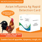 Tarjeta de prueba rápida de anticuerpos contra el virus de la gripe aviar proveedor