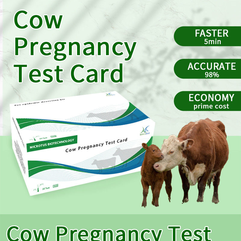 Tarjeta de prueba rápida de embarazo temprano de vaca proveedor