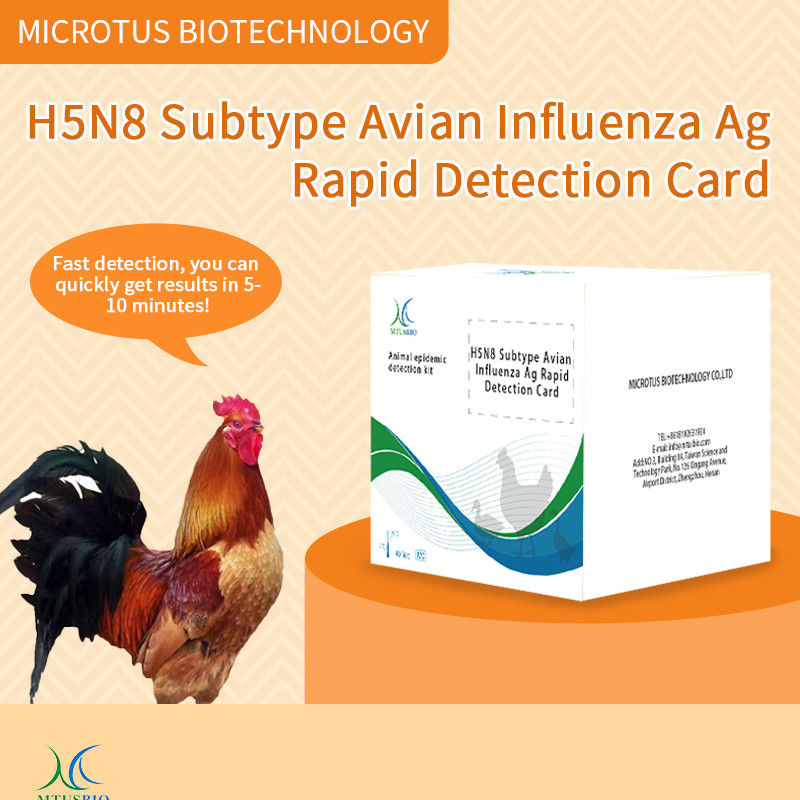 Instrucciones para la tarjeta de detección rápida del antígeno de la gripe aviar (H5N8) proveedor
