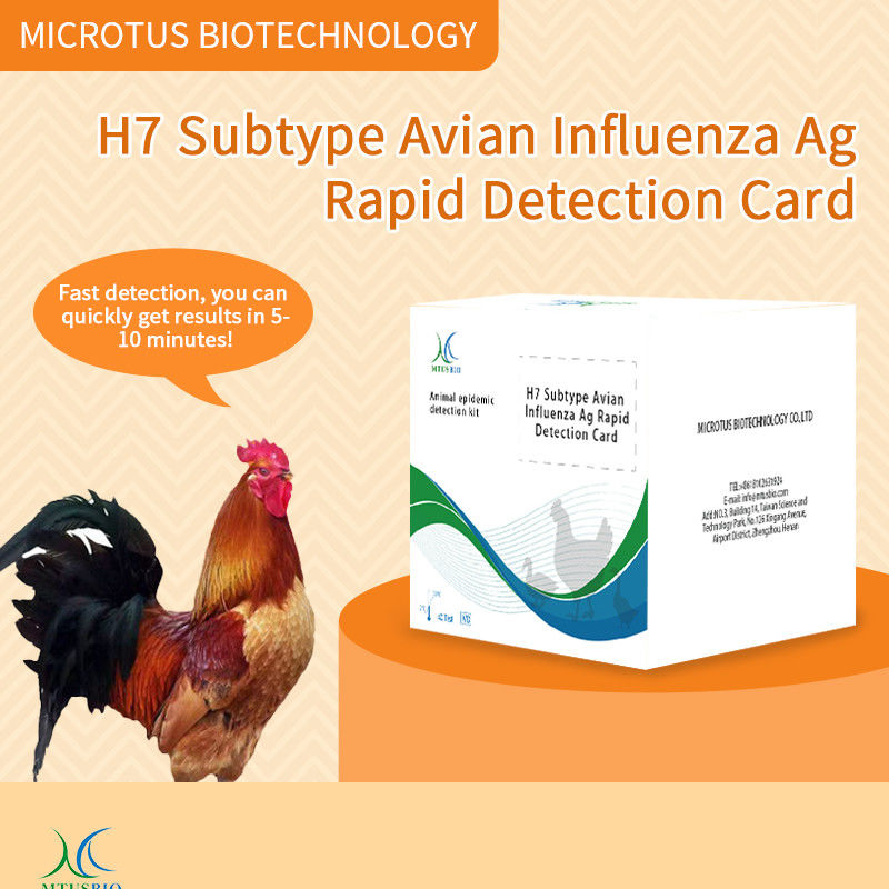 Tarjeta de prueba rápida de antígeno del subtipo de gripe aviar (H7) proveedor