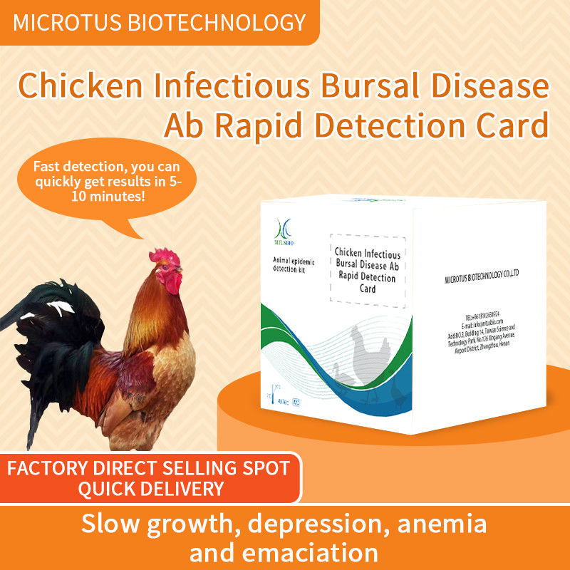Carnet de detección rápida de la enfermedad infecciosa del pollo proveedor